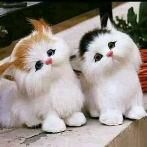 Meet your Posher, Henry